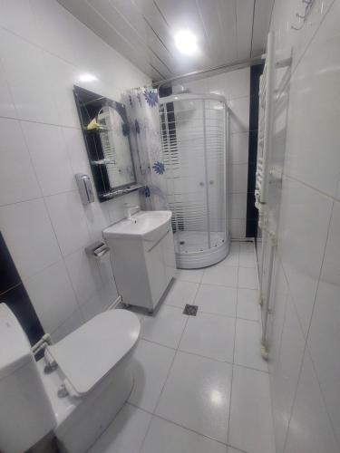 a white bathroom with a toilet and a shower at Sam HOTEL in Noyemberyan