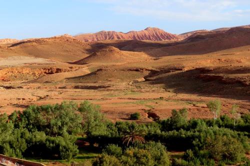 a desert field with trees and mountains in the background at Tigmi Hamid Découverte des traditions et de la culture berbère in Aït Ben Haddou