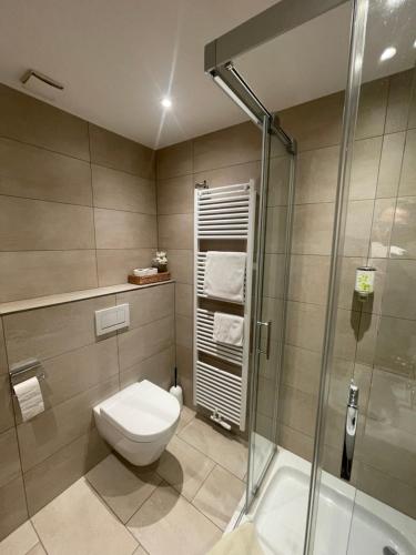 a bathroom with a toilet and a shower at Gasthaus Sonnen in Trierweiler