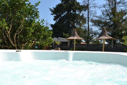a swimming pool with two umbrellas in it at Le gite de la Lombriere in Saint-Denis-de-Pile