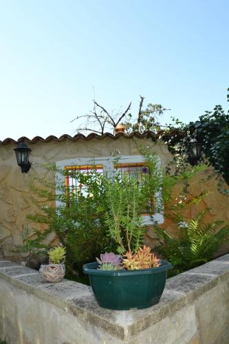 a garden with plants in pots on a wall at Le gite de la Lombriere in Saint-Denis-de-Pile