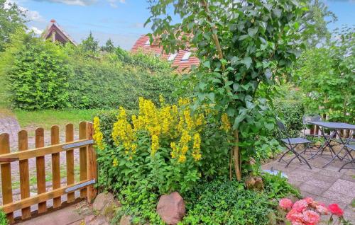 a garden with yellow flowers next to a wooden fence at Ferienhaus Grünow in Grünow