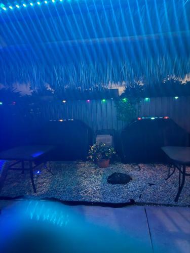 Paradise Oasis1 photo 28