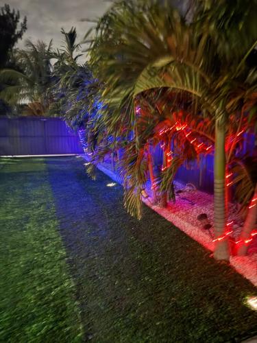 Paradise Oasis1 photo 27