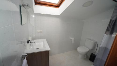 baño con lavabo y aseo con tragaluz en A Xanota, en Combarro