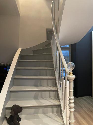 Un ours en peluche assis sur le sol à côté d'un escalier dans l'établissement Maison Jardin des Plantes Le Mans, au Mans