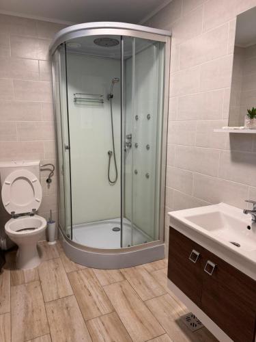 a bathroom with a shower and a toilet and a sink at Hotel Gorunul in Hunedoara