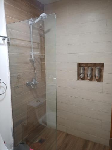 a shower with a glass door in a bathroom at The most comfortable apartment in Boca Chica in Boca Chica