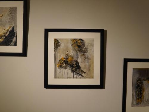 three framed pictures of flowers on a wall at Fior Residence 1BHK Apt in Rawalpindi