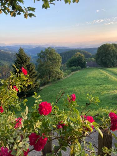 Retro-Charme auf über 1000m