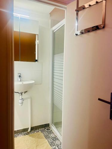 a bathroom with a sink and a shower at Le coup de cœur Parisien in Yerres