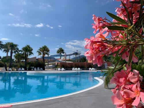 a swimming pool with blue water and pink flowers at Camping Del Mar B10, Mobile Home Excellence, 3 chambres, 6 personnes, bord de mer in Argelès-sur-Mer