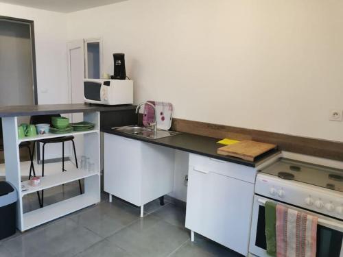 - une cuisine avec un comptoir et un four micro-ondes dans l'établissement Studio RDC, à Loriol-sur-Drôme