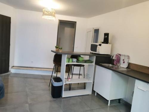 - une cuisine avec un comptoir et un four micro-ondes dans l'établissement Studio RDC, à Loriol-sur-Drôme