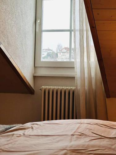 a bedroom with a bed and a window and a radiator at Hidden Retreats The GreenAlley in Bern