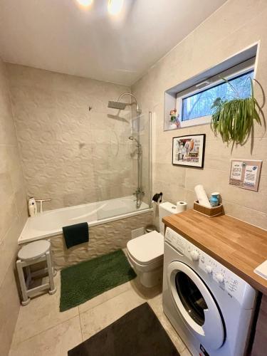 a bathroom with a toilet and a washing machine at Klimatyczny Dom z widokiem na Babią Górę in Maków Podhalański