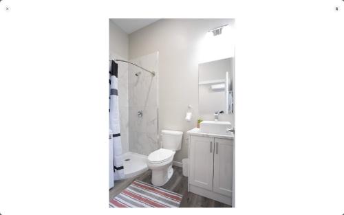 ein Badezimmer mit Toilette und Waschbecken in der Unterkunft 117 McGregor St Blenheim Unit # 3 in Blenheim