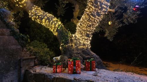 Фотография из галереи Trulli Donna Isabella 2 в городе Локоротондо