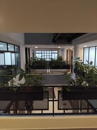 a room with benches and potted plants at Hotel 45 Park in Sabaneta