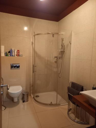 Ένα μπάνιο στο Tatragolf - Apartmán Milan K 204