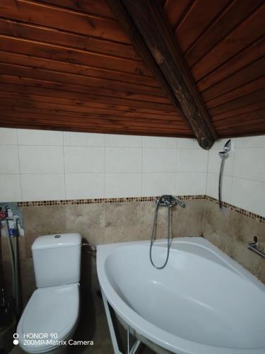 a bathroom with a bath tub and a toilet at Парк - Хотел Макензен in Melnik