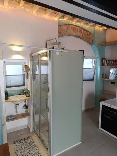 Estudio centro con Jardín compartido