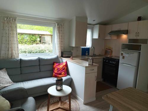 un salon avec un canapé et une cuisine dans l'établissement Mobil-Home 4 places dans les Landes, à Saint-Julien-en-Born