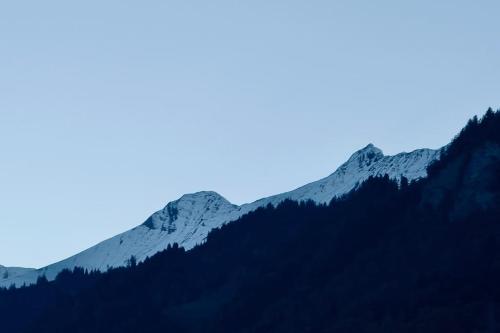 a view of a mountain with snow on it at Hidden Retreats The Niesen in Reichenbach