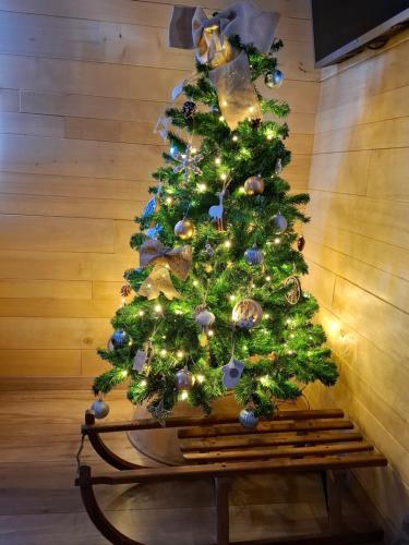 a christmas tree sitting on top of a bench at Gîte, aux portes du Morvan in Voudenay-lʼEglise