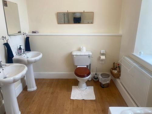 a bathroom with a toilet and a sink and a mirror at 92 High Street in Aberlour