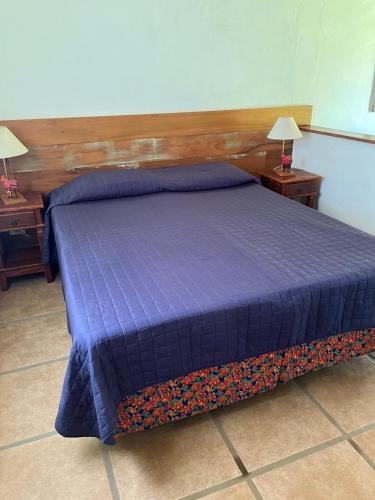 a bedroom with a blue bed with two nightstands and lamps at Pousada do Café - Chalé 1 -São Sebastião da Grama in São Sebastião da Grama