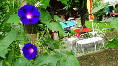 a garden with blue flowers and chairs and a table at Ferienhaus-Römerthurm in Schöder