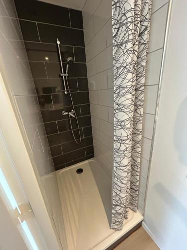 La salle de bains est pourvue d'une douche avec rideau de douche. dans l'établissement Au Trèfle Dort Gîte, à Châtel-Guyon