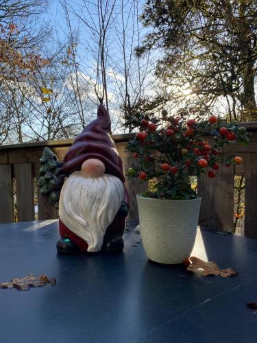 a gnome sitting on a table next to a plant at Sunclass Durbuy Chalet 98 Woody in Durbuy