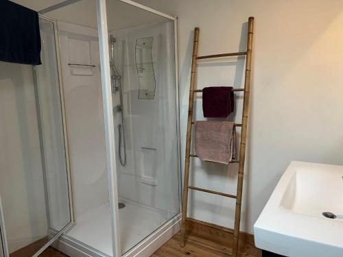 una doccia con una porta in vetro accanto a un lavandino di Beau Grand T2 Duplex avec du Cachet Centre Ville a Saint-Gaudens