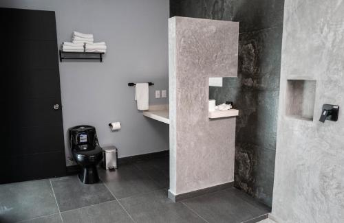 a bathroom with a toilet and a sink at Hotel Esmeralda in Atlixco