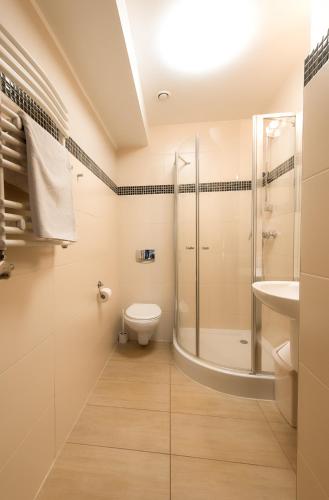 a bathroom with a shower and a toilet and a sink at Alpejski Zieleniec in Duszniki Zdrój