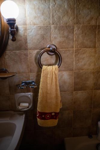 a bathroom with a towel hanging on a wall at Vila Elati Oreini Korinthia in Velína