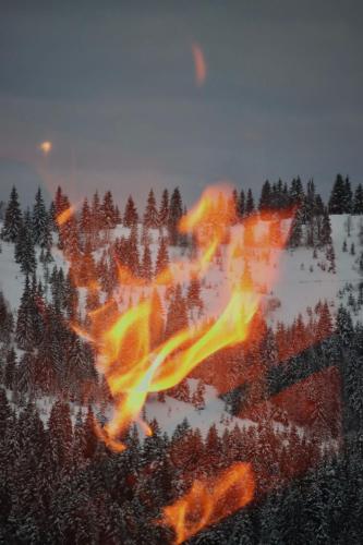 an image of a fire outbreak in a forest at Cabana Lupul din Apuseni in Mătişeşti