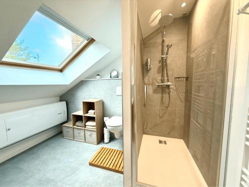 une salle de bain avec douche et toilettes dans l'établissement Appartement climatisé-Centre Ville-Gare, à Reims