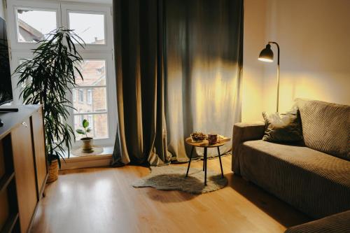 a living room with a couch and a window at Szeroka 32 Studio in Toruń