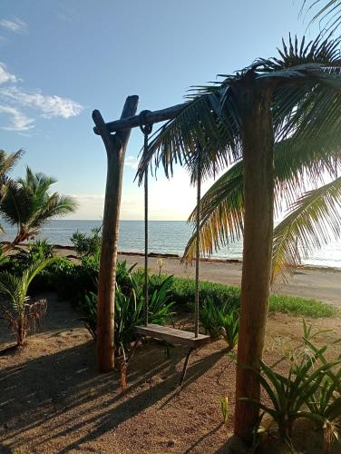 a swing on a beach with a palm tree at Villa Queridoro Mahahual in Mahahual