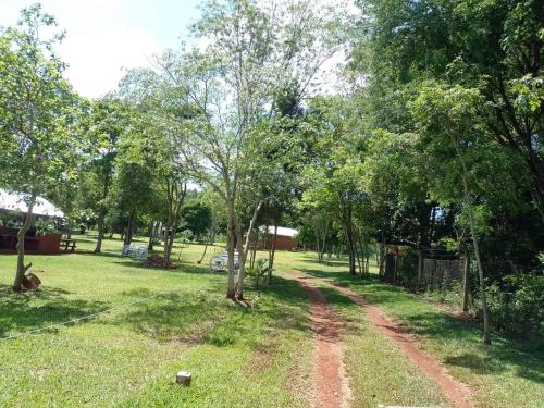 a dirt road in a park with trees at Los Lapachos Lodge in Puerto Libertad