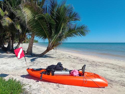 an orange kayak on a beach with palm trees at Villa Queridoro Mahahual in Mahahual