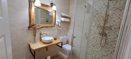 a bathroom with a shower and a sink and a toilet at Xanela Xures in Muiños