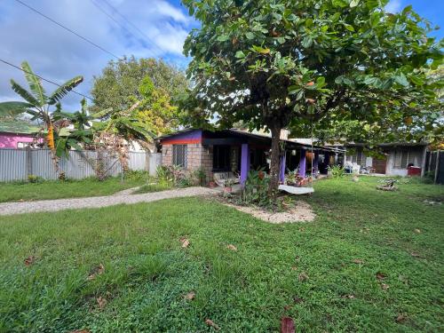 a small house with a tree in a yard at Passiflora Backpackers Samara in Sámara