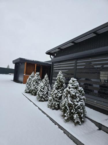 L'établissement Rzymska Chata en hiver