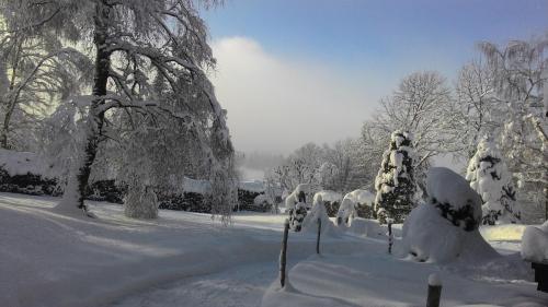 a park covered in snow with trees and bushes at Apartmán Šírovi in Benecko