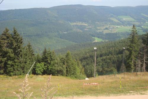 a view of a hill with trees and a mountain at Logis Hôtel Restaurant La Tête Des Faux in Le Bonhomme