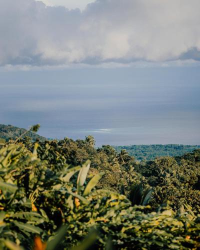 a field of vegetation with the ocean in the background at Bintana sa Paraiso Binunsaran in Mambajao